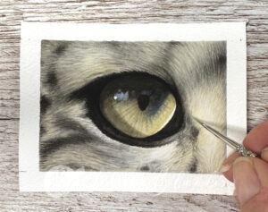 Read more about the article <strong>Painting a Realistic Snow Leopard Eye in Watercolor — Step by Step</strong>