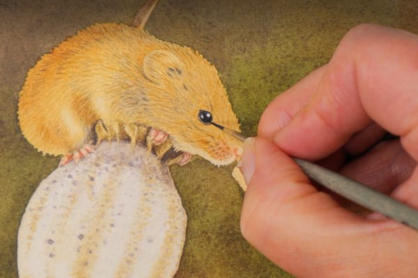 mouse-eye-painting